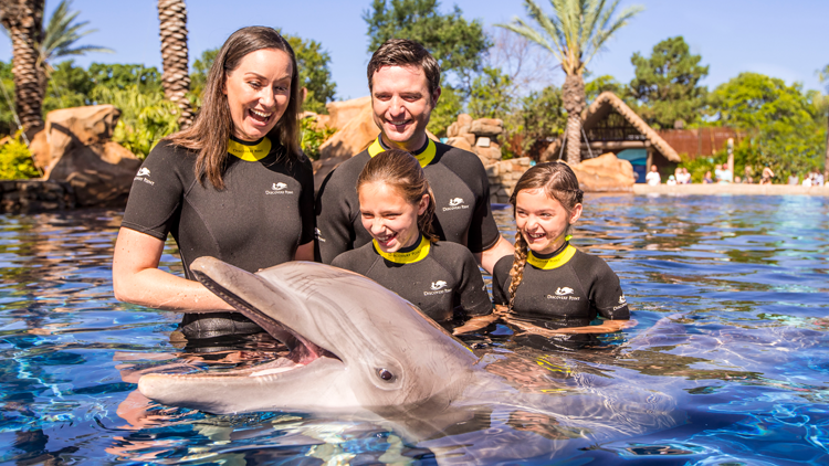 Dolphin with Family