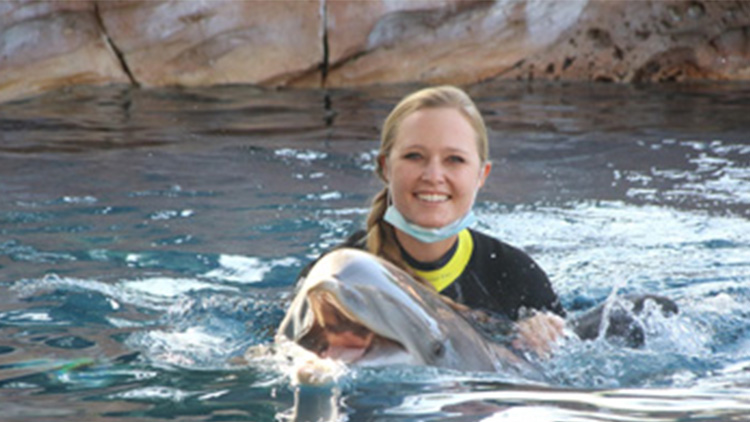 Dolphin with Family Discovery Point