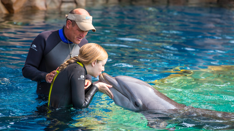 Dolphin Kiss