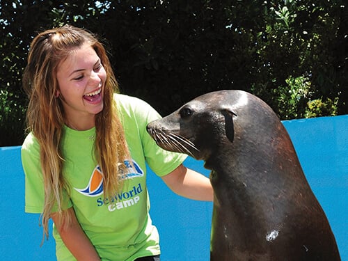 Sea Lion with Student