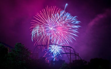 Fireworks Picnic
