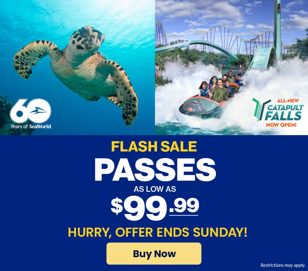Flash Sale: Passes as low as $99.99