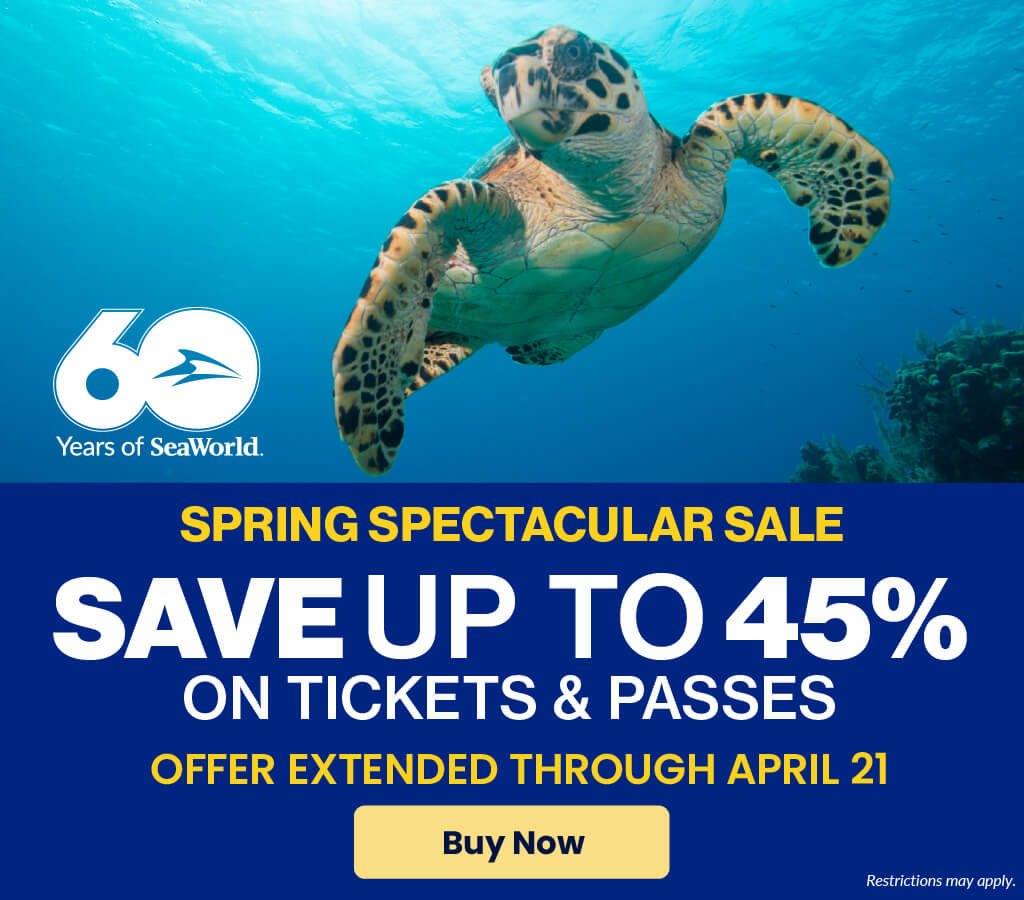 SeaWorld San Antonio Theme Park Texas Animal Attractions