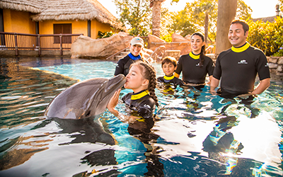 Ultimate Vacation Package