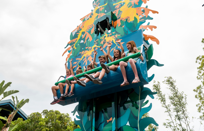 Sea dragon drop.