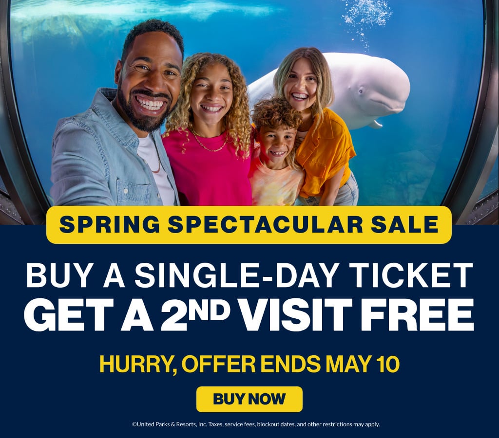 Flash Sale