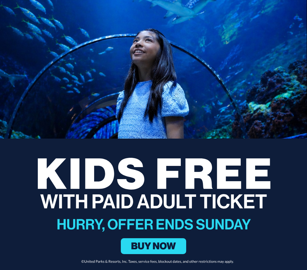Save on Tickets at SeaWorld San Diego
