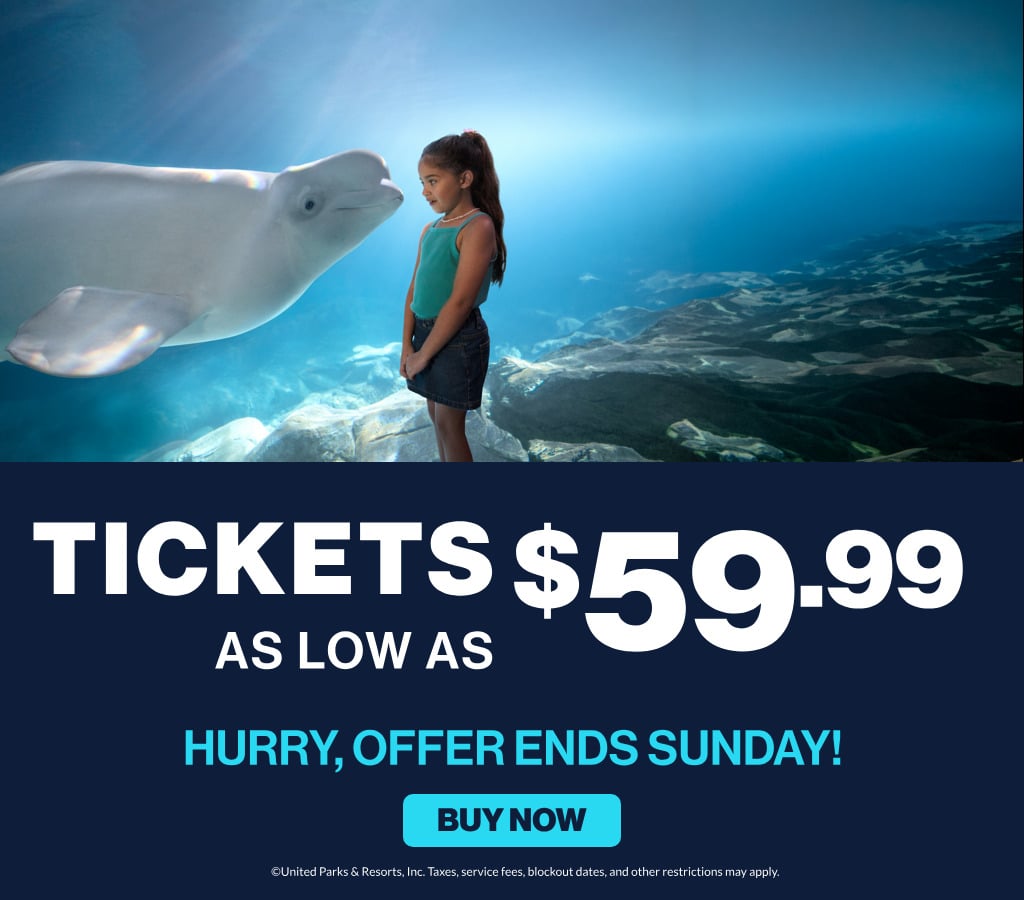 Save on admissions to SeaWorld San Diego
