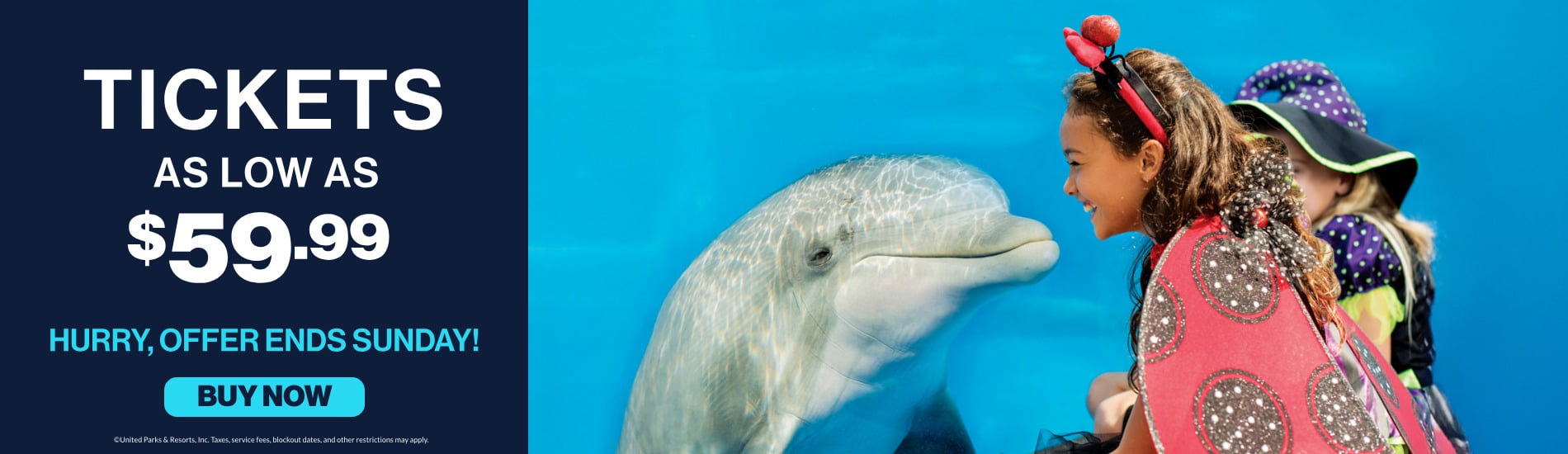 Save on admissions at SeaWorld San Diego this October