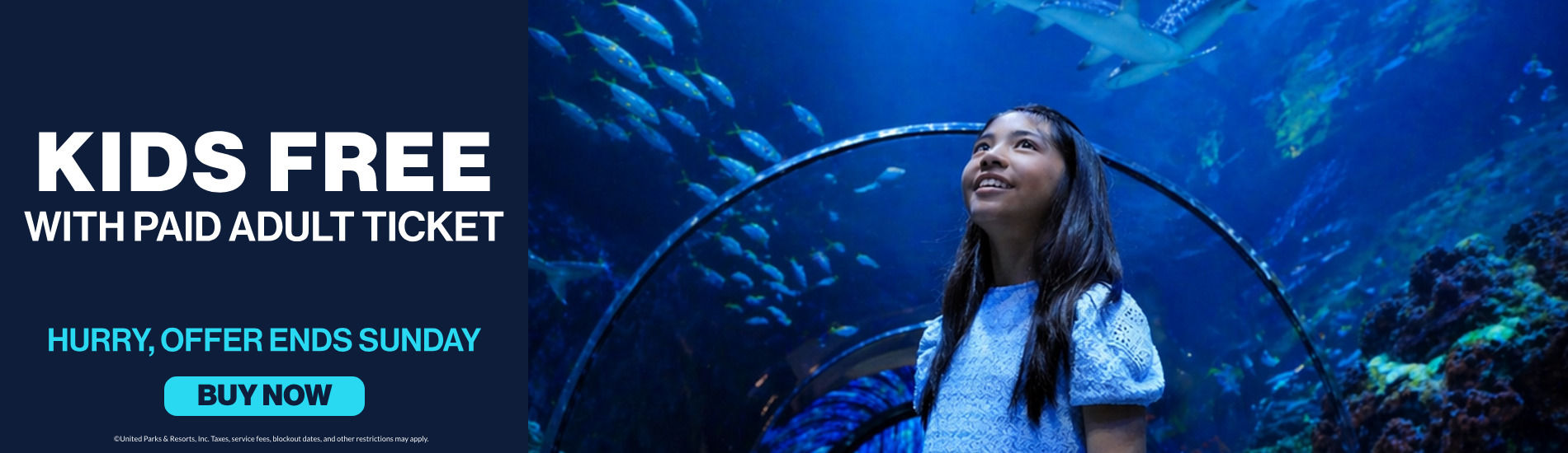 Save on Tickets at SeaWorld San Diego