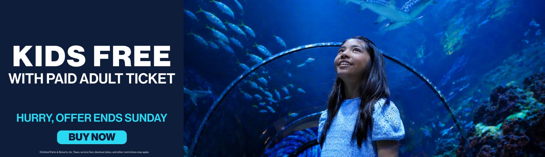 Save on Tickets at SeaWorld San Diego