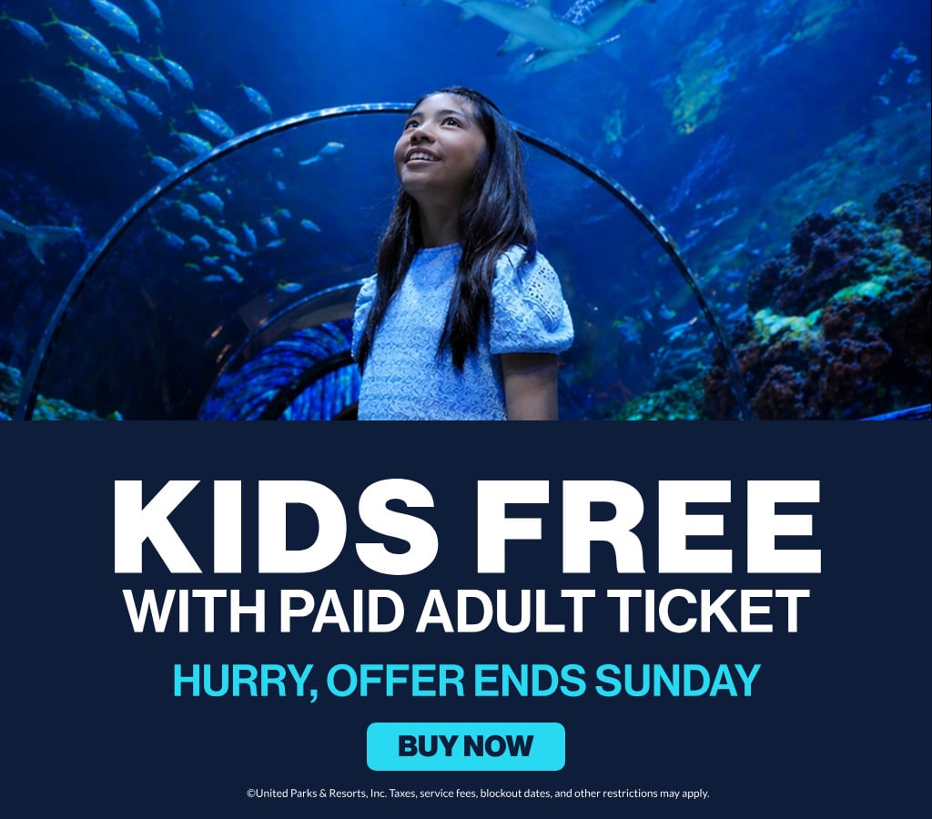 Save on Tickets at SeaWorld San Diego