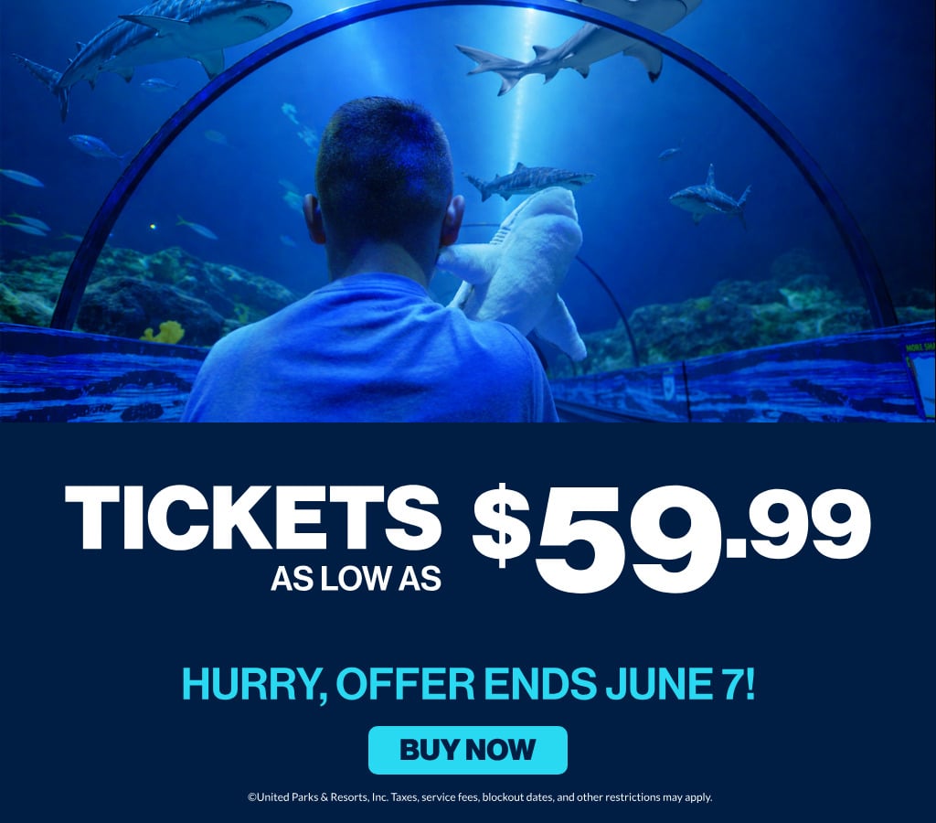 Save on SeaWorld San Diego Tickets
