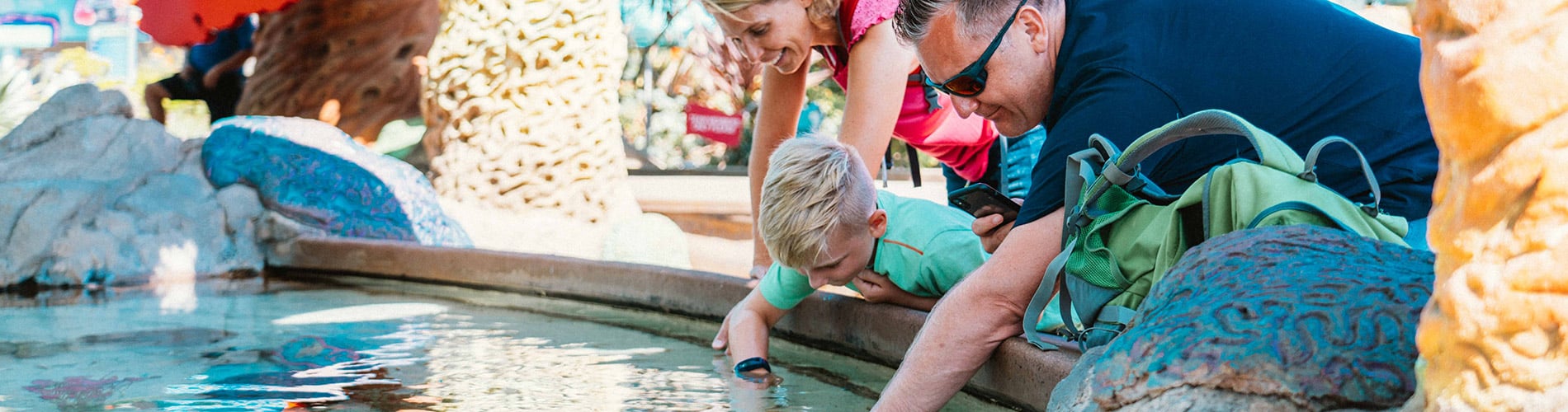 Touch pools at SeaWorld San Diego