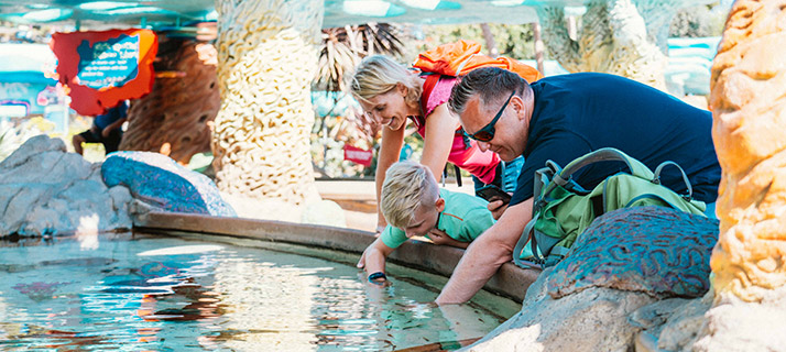 Touch pools at SeaWorld San Diego