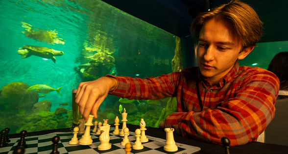 Chess people playing.