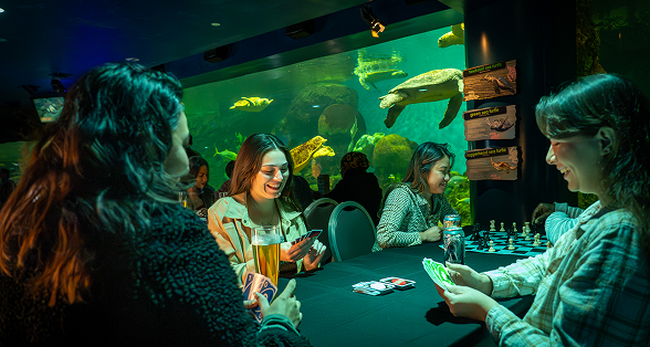 Chess people playing.