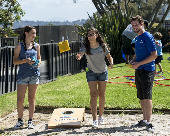 Heated Summer Competition