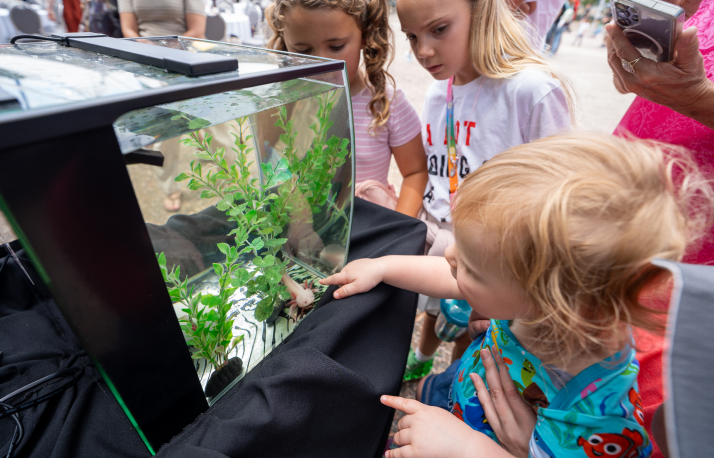 People viewing an Axolotl in a tank