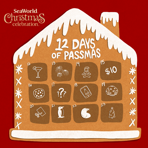12 Days of Passmas