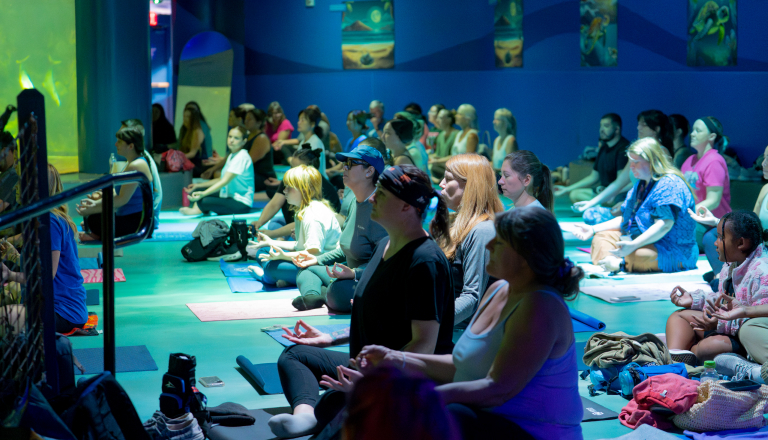 Yoga at SeaWorld San Diego