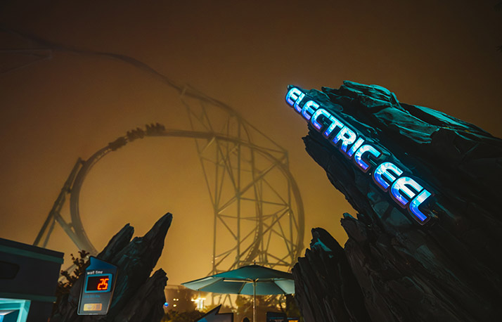 Electric Eel at night