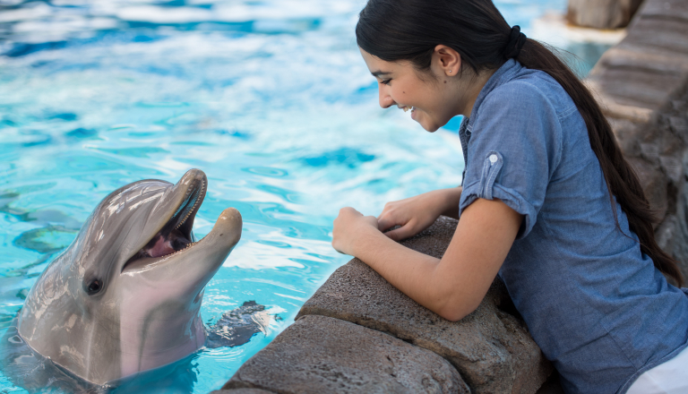 Woman looking at dolphin in the water