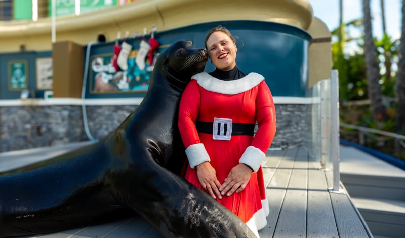 A sea lion with an Animal Specialist in holiday attire