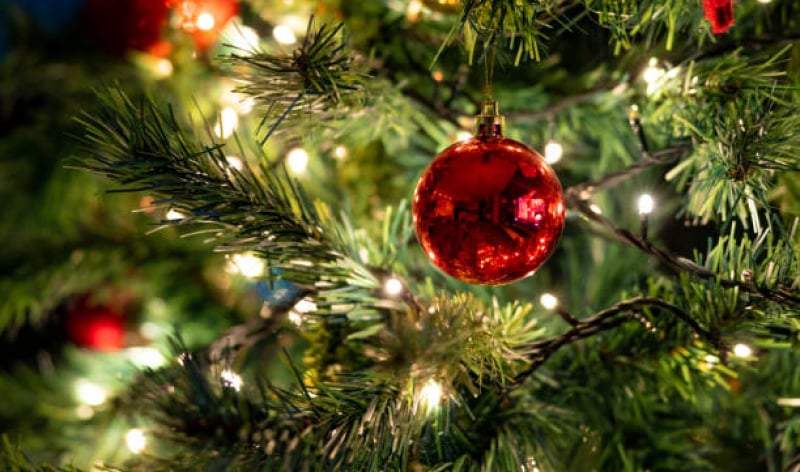 Close up of a Christmas Tree