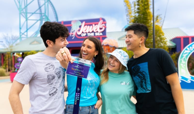 Jewels of the Sea: The Jellyfish Experience 