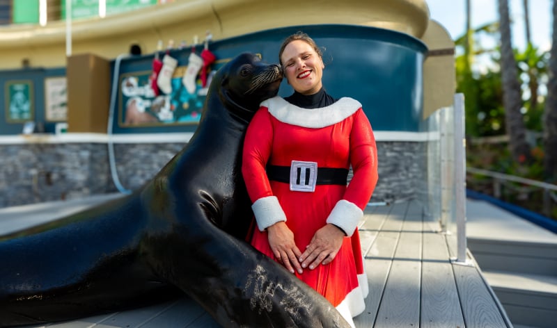 An animal trainer in a Santa dress sitting next to a Sea Lion