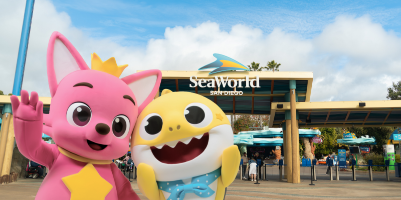 pink and baby shark.