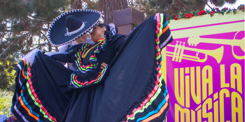 viva la musica.