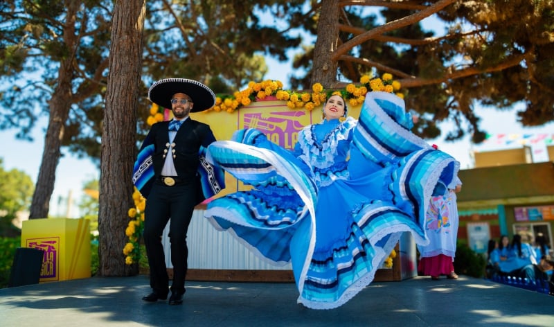 Flamenco dancer at Viva La Música