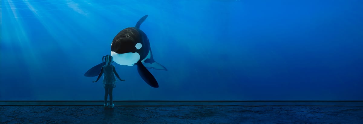 SeaWorld San Diego
