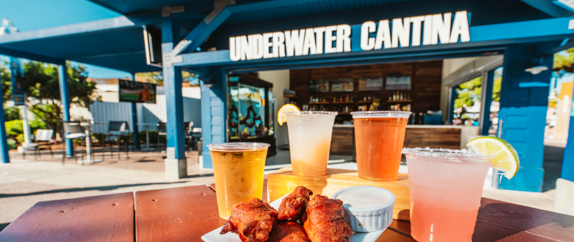 Four cocktails and buffalo chicken wings in front of Underwater Cantina