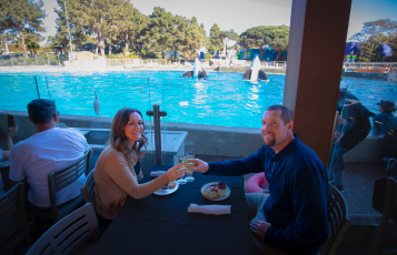 A couple eating a meal in front of Orcas Whales