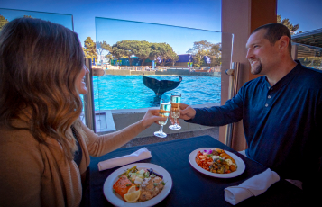 A couple eating a meal in front of Orcas Whales