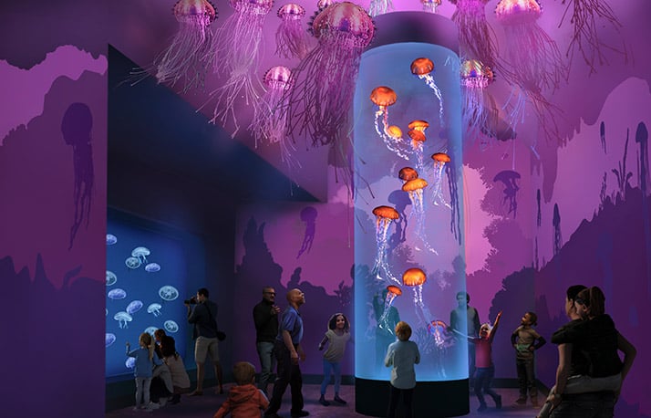 The Jellyfish Experience at SeaWorld San Diego
