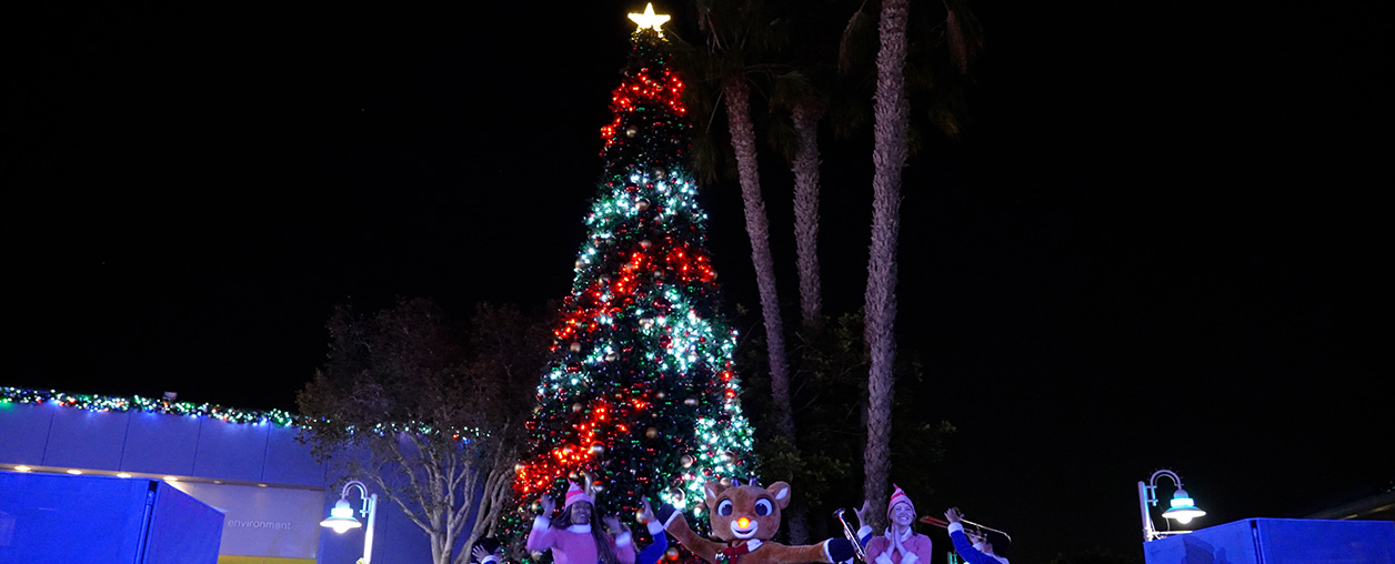 30 Foot Tree Lighting during Christmas Celebration at SeaWorld San Diego