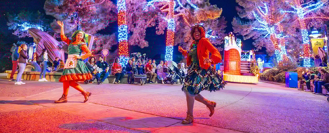 Coca-Cola Lane during Christmas Celebration at SeaWorld San Diego