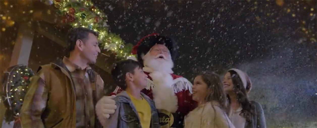 Snowfall Throughout the Park