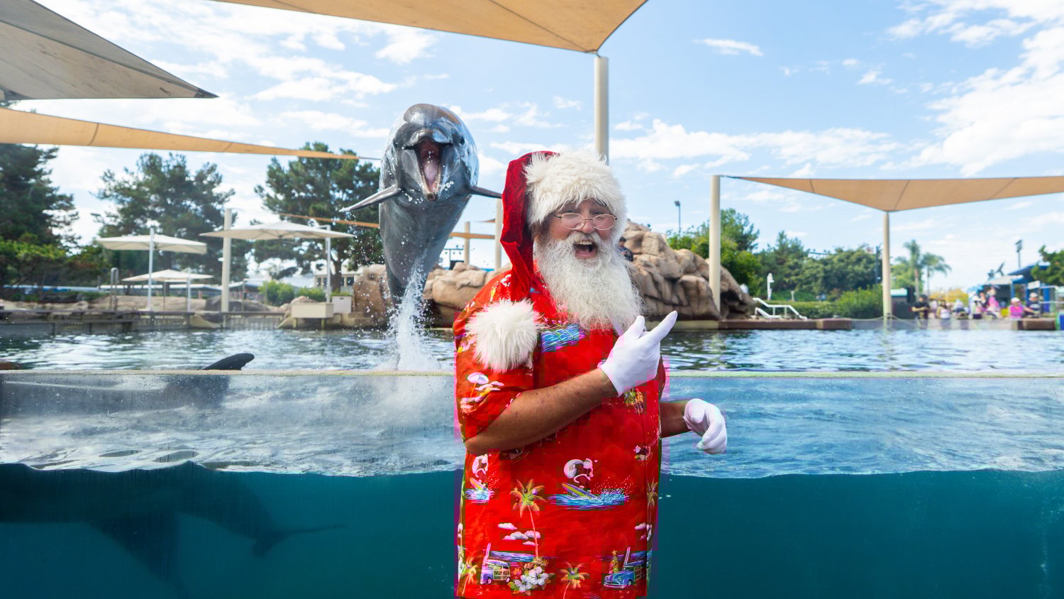 Santa in a summer style Christmas outfit in front of a dolphin