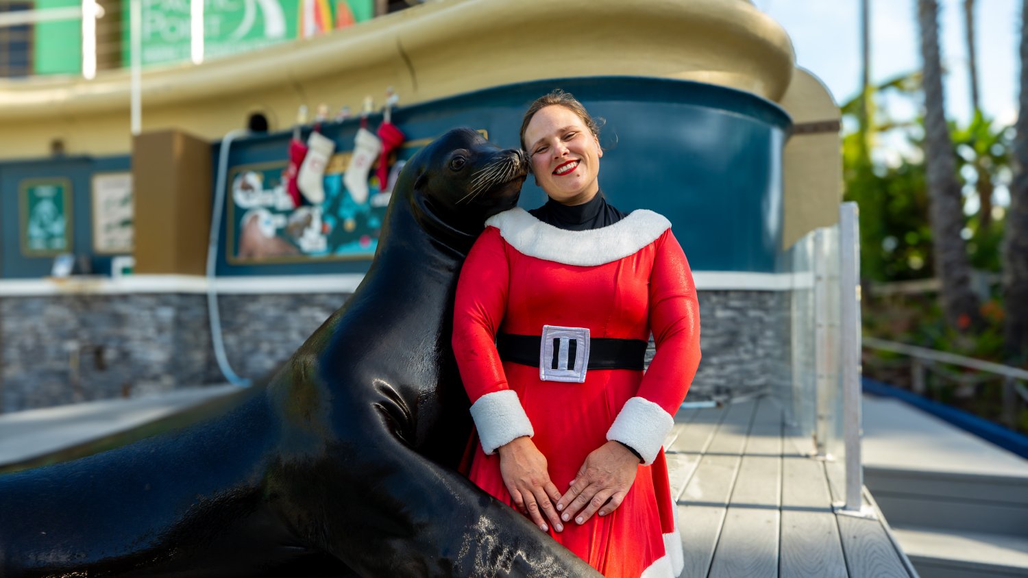 Sea Lion with animal care team