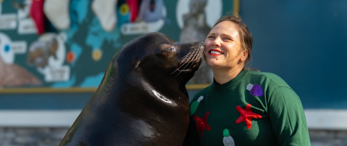 Sea Lion with a trainer wearing a Christmas sweater