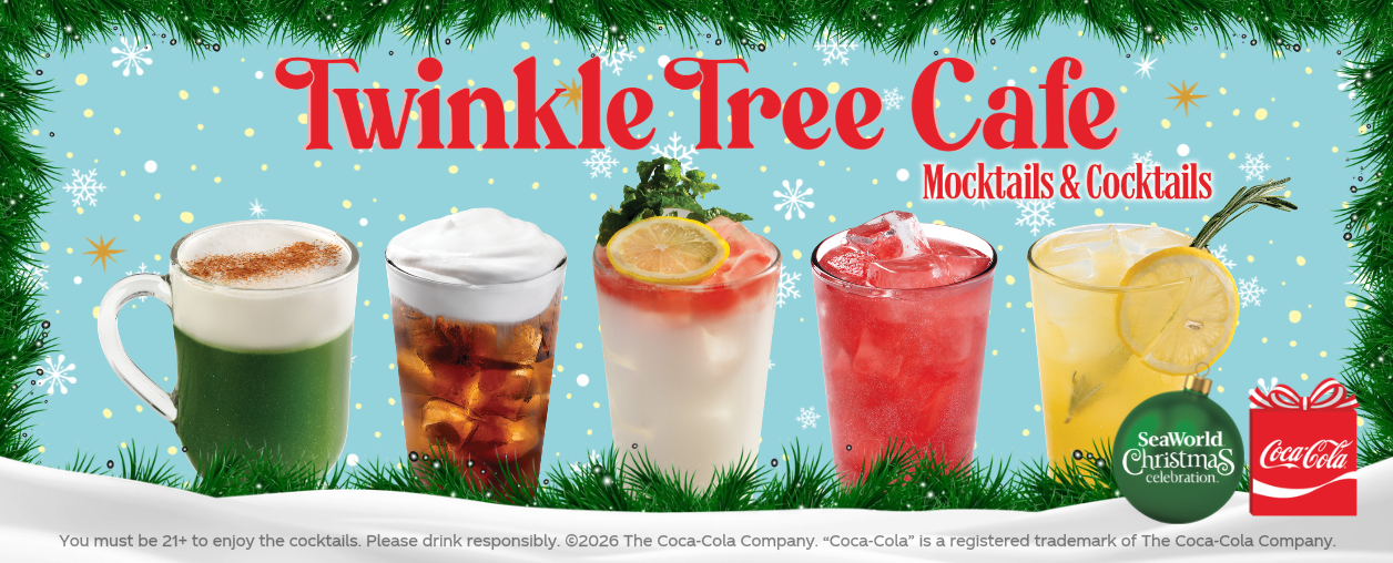 Twinkle Tree Cafe