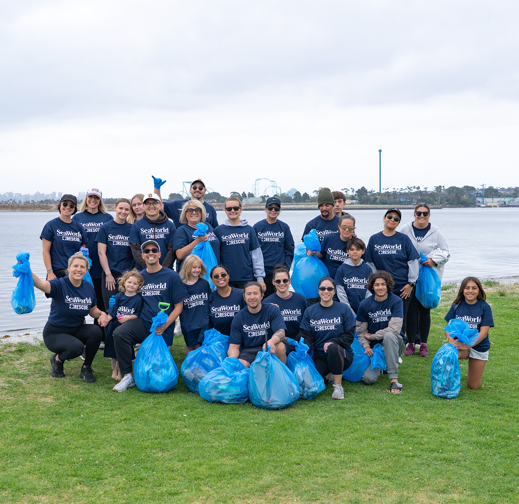 Beach Clean Up