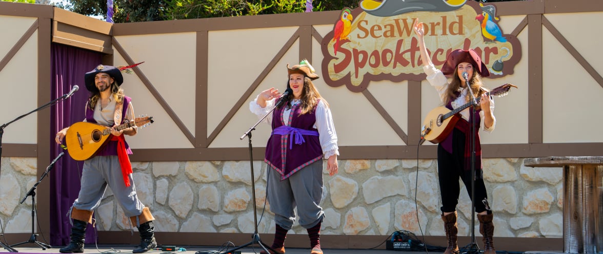 Pirate Sea Shanty Band