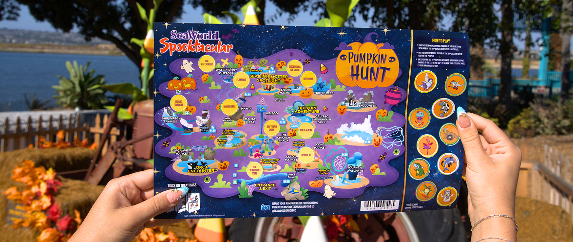 Pumpkin Hunt