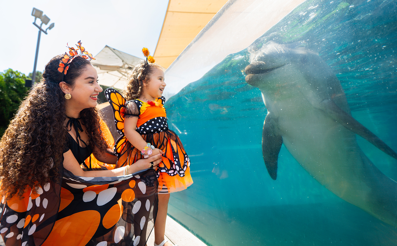SeaWorld San Diego Spooktacular
